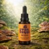 ACEITE REISHI FAN FUNGI 30ML