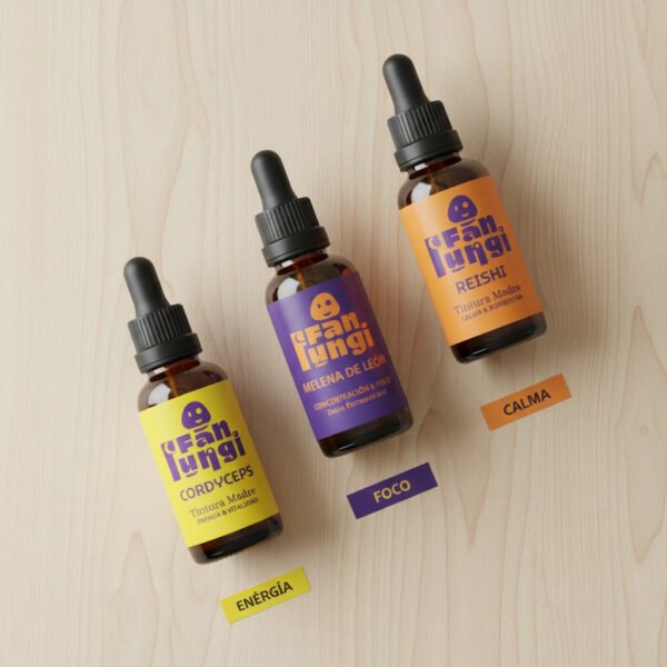 COMBO FOCO & ENERGÍA - Cordyceps + Melena + Reishi