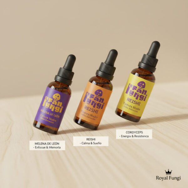 COMBO FOCO & ENERGÍA - Cordyceps + Melena + Reishi